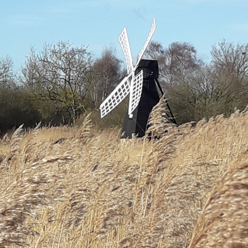 heritage project managers East Anglia